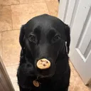 Jkat_33