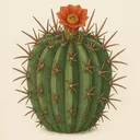 CactiPatrick