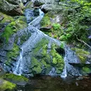 DirtNFert