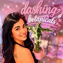 Dashingbotanicals