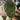 PorchPlants thumbnail