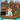katslittlecorner thumbnail
