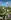 Giftcard thumbnail