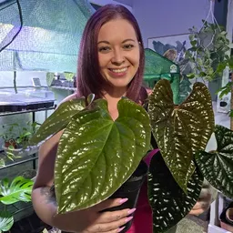 Planta_Loca