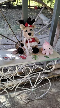 photo