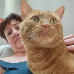 TracyHas2manyplants