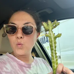 Planty_Rach
