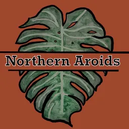 NorthernAroids