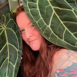 Plantaddicted_cass