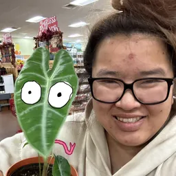 PlantyHannah