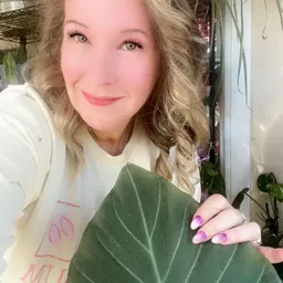 TheStemAndPetal