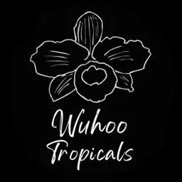 WuHooTropicals
