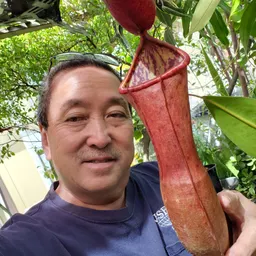 Reptilehunter78