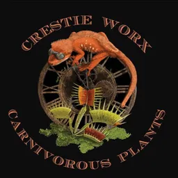 Crestieworx