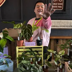KTropicals