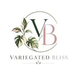 VariegatedBliss269