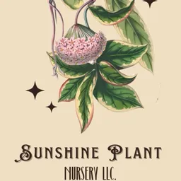 SunshinePlantNursery