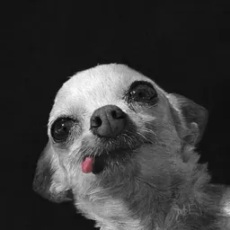 TeenyTiny