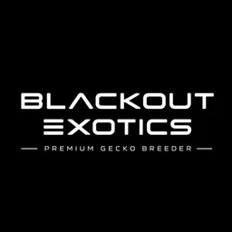 BlackoutExotics