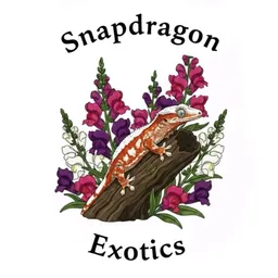 SnapdragonExotics