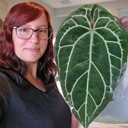 Little.plant.hobbyist