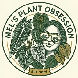 MellyMelMD