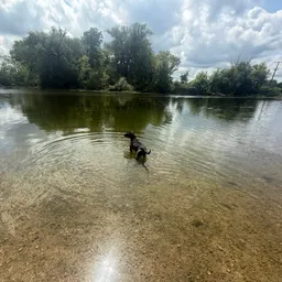 PawthosPNW