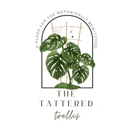 The_Tattered_Trellis