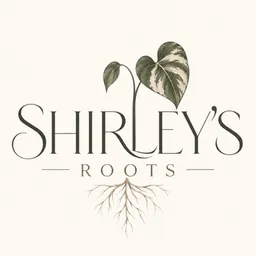 ShirleysRoots