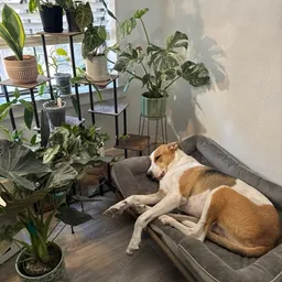 Plant_People12