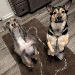howmanyistoomany