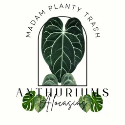 Madamplantytrash
