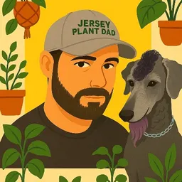 JerseyPlantDad