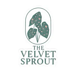 TheVelvetSprout