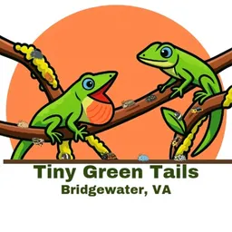 TinyGreenTails