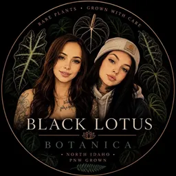 BlackLotusBotanica