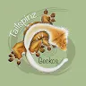 TAILSPINZ_GECKOS