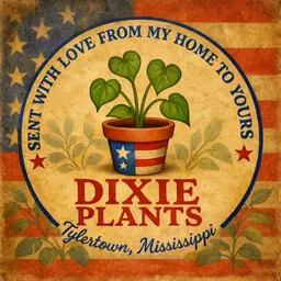 DixiePlants