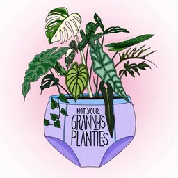 NotYourGrannysPlanties