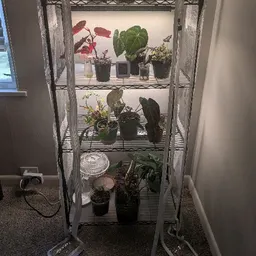 erin.plants