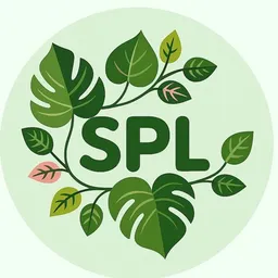 SpicyPlantLady