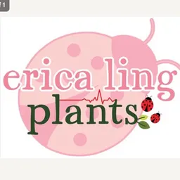 EricaLing
