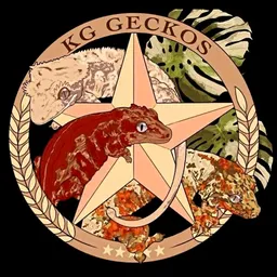KGGeckos