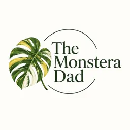 The_Monstera_Dad