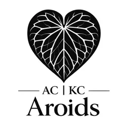 ACKC.aroids