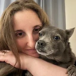 Chihuahua.Mama