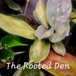 TheRootedDen