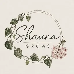 shaunagrowshoyas