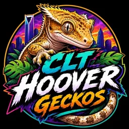 CLT_Hoover_Geckos