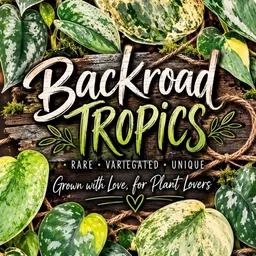 Backroad_Tropics